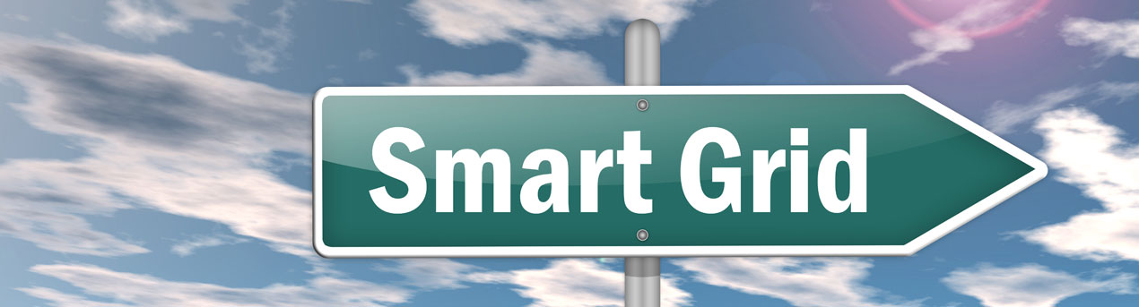 Smart Meter & Smart Grid